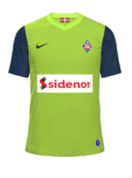 Fora kit