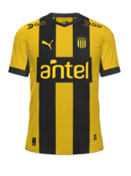Hjemme kit