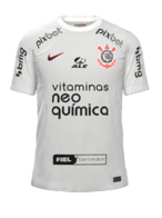 İç Saha kit
