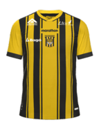 Hjemme kit