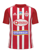 Hjemme kit