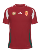 İç Saha kit