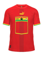 Borte kit