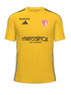 Away kit