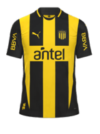 Hjemme kit