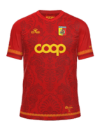 Domácí kit