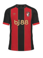 Domácí kit