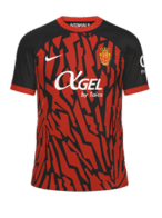 İç Saha kit