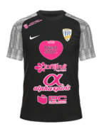 Away kit