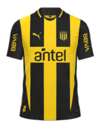 İç Saha kit