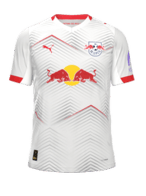 Domowy kit