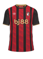 Domácí kit