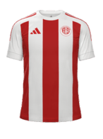 İç Saha kit
