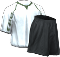 Domácí kit