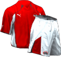 Домашняя kit