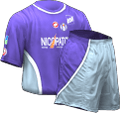 Domácí kit
