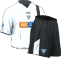 Home kit