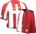 Hjemme kit