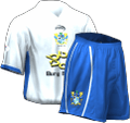 Домашняя kit