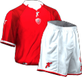 Домашняя kit