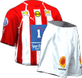 Local kit
