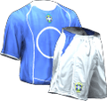 Fora kit