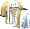 Away kit