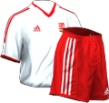 Fora kit