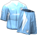 Visitante kit