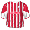 Hjemme kit