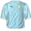 Home kit