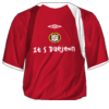 Domácí kit
