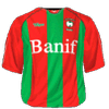 Domowy kit
