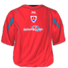 Hjemme kit