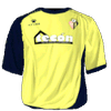 Away kit