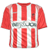 Hjemme kit