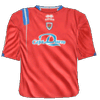 Hjemme kit