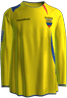 Domácí kit
