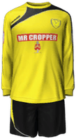 Home kit