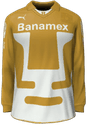 Hjemme kit