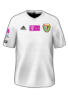 Away kit