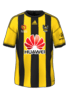Home kit