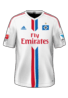 Hjemme kit