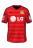 Hjemme kit