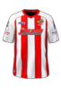 Hjemme kit