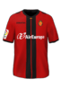 Domácí kit