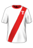 Hjemme kit