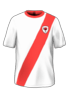 İç Saha kit