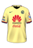 Hjemme kit