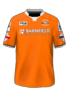 Home kit